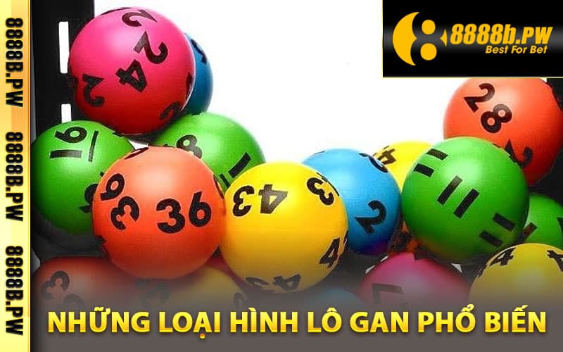 Những loại hình lô gan phổ biến